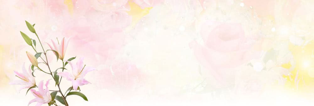 愛猫【ちび】2010年3月15日生まれ